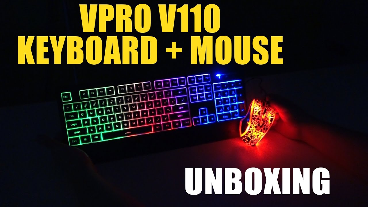 Rapoo V110 Backlit Gaming Keyboard and Optical Mouse Combo.