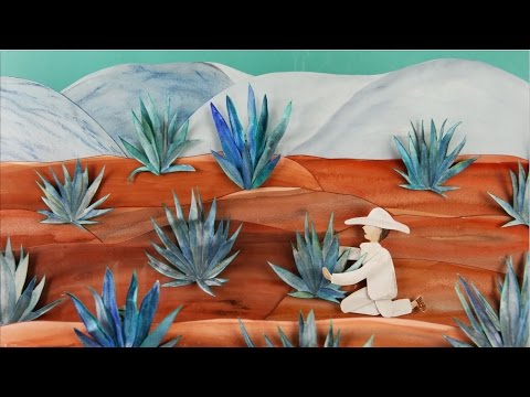 Videó: A Tequila Legenda - Alternatív Nézet