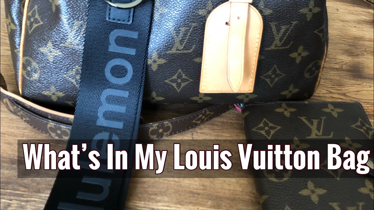 what's in my lv bag - Google Search