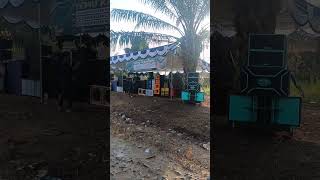 di dukung sound miniatur #sound #dekorasipernikahanoutdoorsederhana #fypシ゚viral #soundsystem