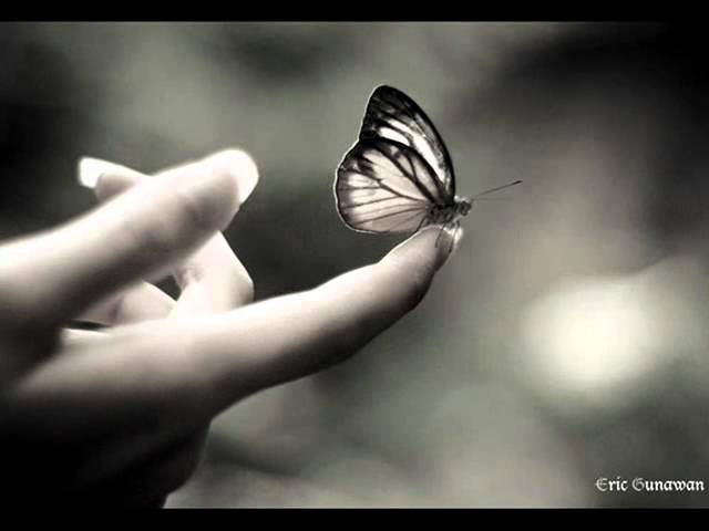 Watch Michael Logen - Goodbye Goodbye on YouTube Watch Michael Logen - Goodbye Goodbye on YouTube