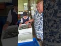 和歌山県白浜に仕入れに行きました#shorts
