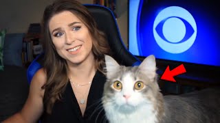 Best Cats Work From Home News Bloopers screenshot 5