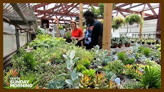 'Teens Grow Greens' offers skill-building employment to kids from Milwaukee's north, south sides screenshot 5