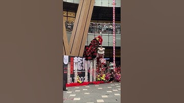 Thumbnail of High Pole - 2025 World Dragon & Lion Dance Extravaganza