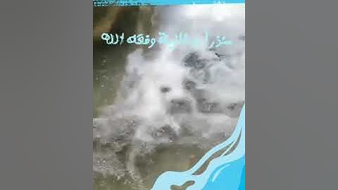 ما تيسر من  سورة الأنعام  للأخ منذر أبو غالية الليبي وفقه الله