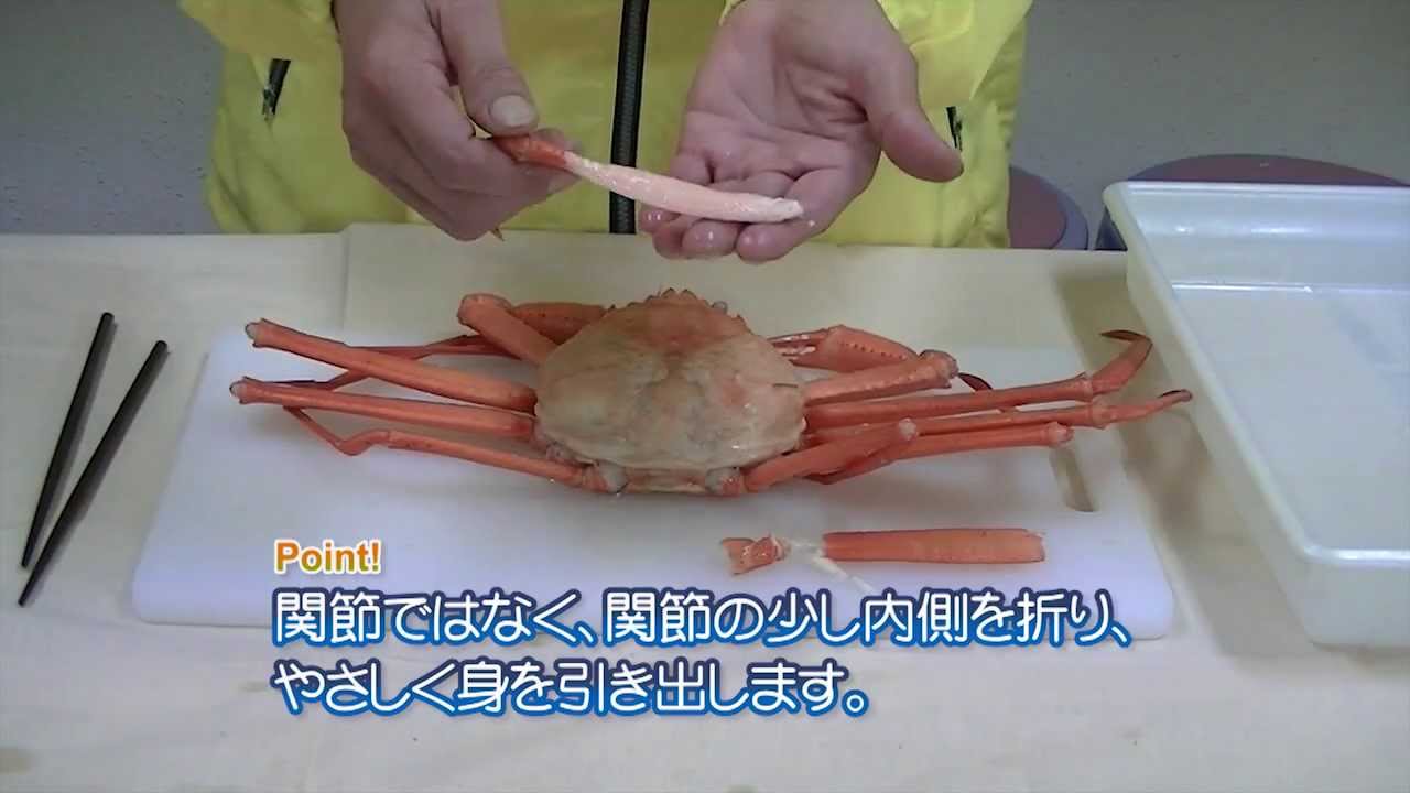 魚を上手に食べるコツ ベニズワイガニの上手な食べ方 Youtube