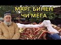 ХОЧИ МИРЗО 2020 марг гуш кун чи мега