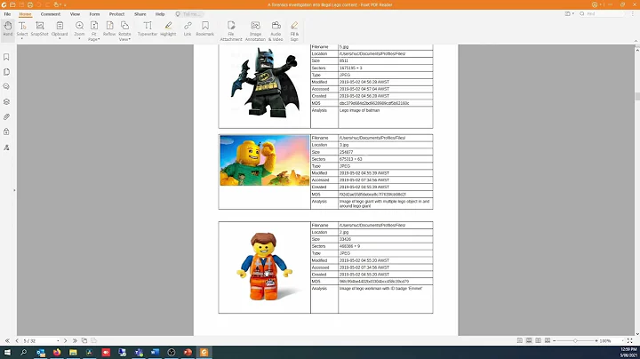 Digital Forensic Reporting