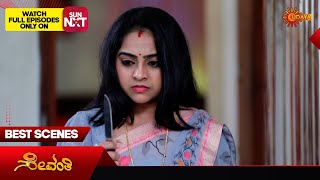 Famous Sevanthi - Best Scenes | 08 Dec 2024 | Kannada Serial | Udaya TV Profile