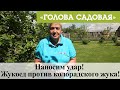 Голова садовая - Наносим удар! Жукоед против колорадского жука!