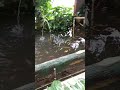 Kolam ikan, tempat yg fress buat otak kita