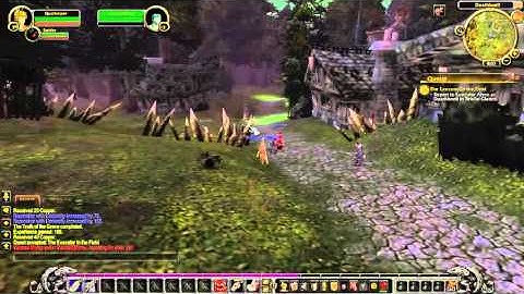 The Executor in the Field