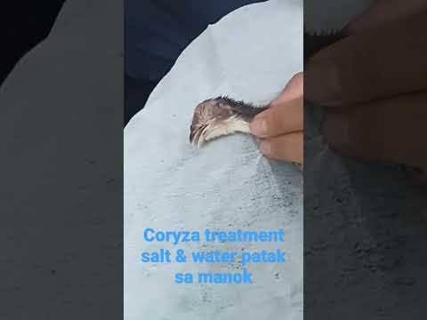 Coryza Treatment / Pagamot sa Coryza