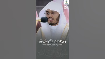 أَيَحۡسَبُ ٱلۡإِنسَٰنُ أَن يُتۡرَكَ سُدًى | تلاوة تحبيرية خاشعة لفضيلة الشيخ د. #ياسر_الدوسري