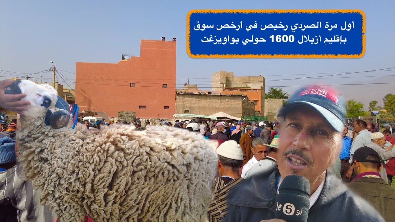 أول مرة الصردي رخيص في أرخص سوق بإقليم أزيلال 1600 حولي بواويزغت