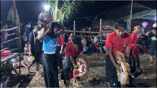 KALAPAN NDADI PUTRO MAHESO BERAU KALTIM