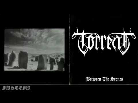 barb wire torrent