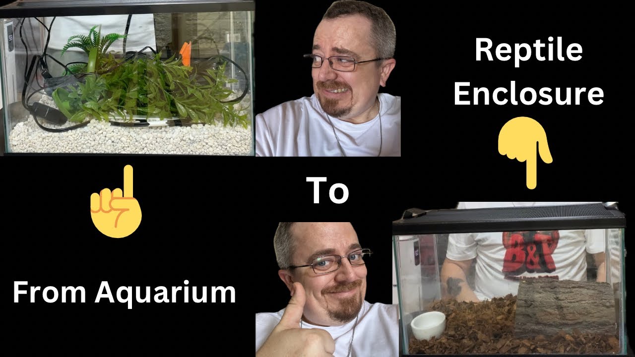 From Fish to Scales: Converting an Aquarium into a Reptile Tank - YouTube
