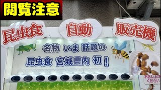 【閲覧注意】なにかと話題の「コオロギ」が自販機で売ってたので食べてみた【仙台市】