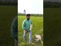 Patel ka khet#shaba Nagar#