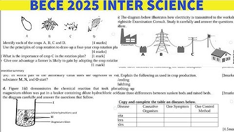 BECE Integrated Science 2025 LAST Mock Objectives and Essay with Answers