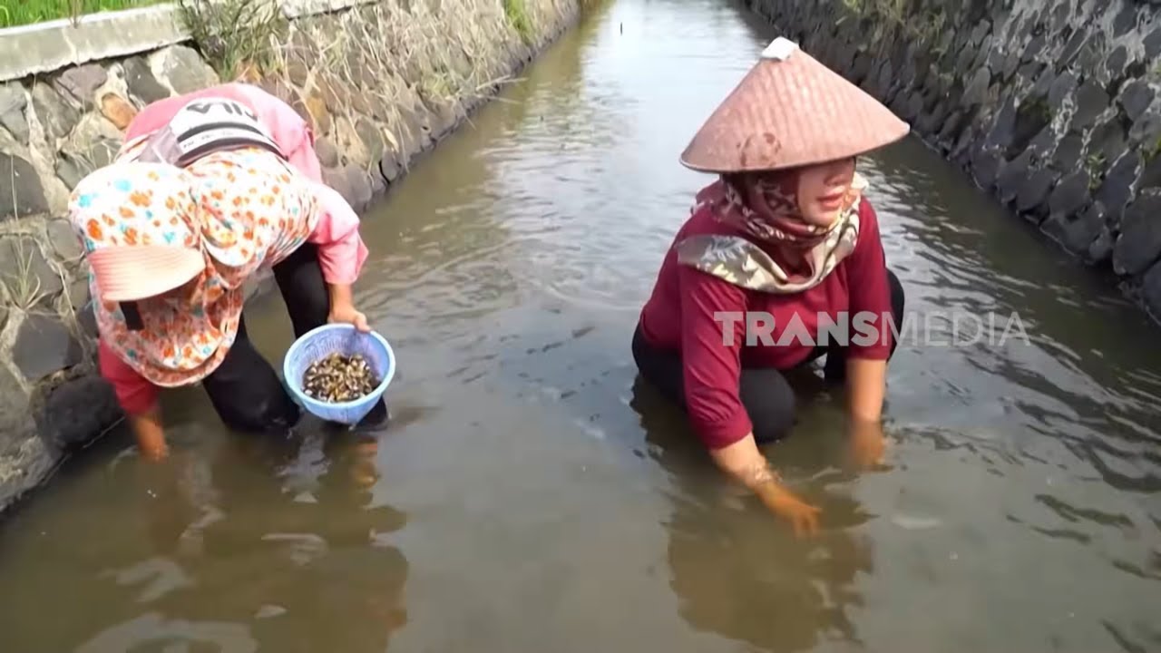 [FULL] MASAKAN ENAK ALA EMAK ENAH | ENAH BIKIN ENAK (17/12/25)