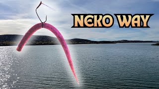 It’s Not Just a Senko – How Japanese Anglers Fish the Neko Rig