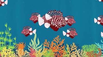 Lionfish, The Ultimate Invasive Predator