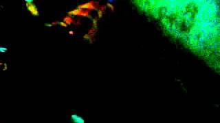 DSCN1937.AVI