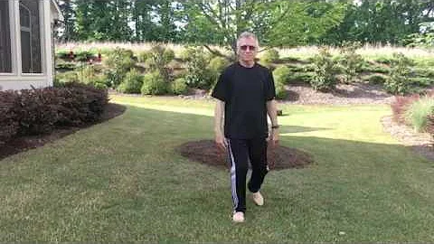 Tai Chi  Yang Form 24 Lesson 6 Single Whip Cloud Hands Single Whip