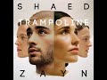 SHAED & ZAYN - Trampoline  [Audio]