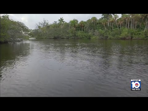 Florida man honored for saving wife during alligator attack
