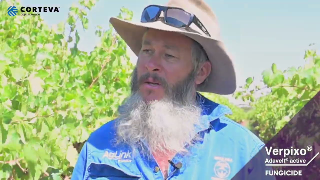 More Flexibility, More Freedom, More Growth