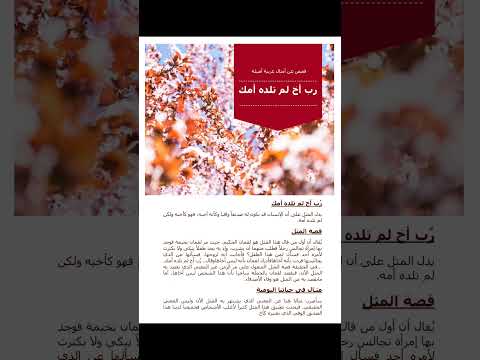 قصص امثال عربية رب اخ لم تلده امك اقتباسات عبارات حالات واتس حكم