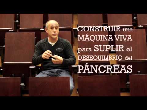 regular-la-glucemia-fuera-del-páncreas---javier-macía
