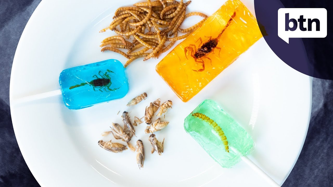 what do you call someone who eats insects