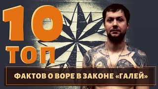 На зоне побил другого законника! ТОП 10 фактов о воре в законе "Галей"