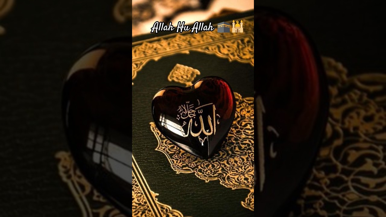 #youtub #allahhuallah #love #allahhuallah #yitubeshorts #nature #shirts #life #muhammad #islamic #yt