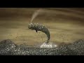 Rise Above Plastics - Plastics Kill
