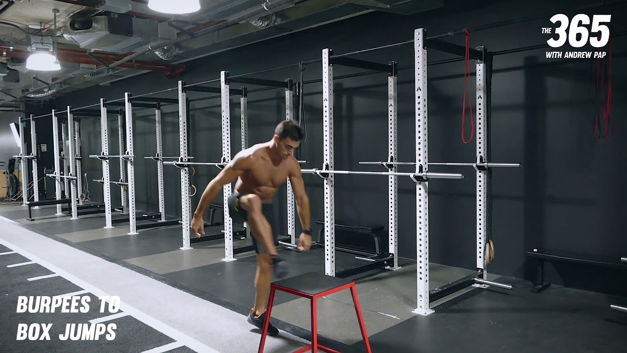 Andrew Pap's 365 Exercise Library - Burpees to Box Jumps - YouTube