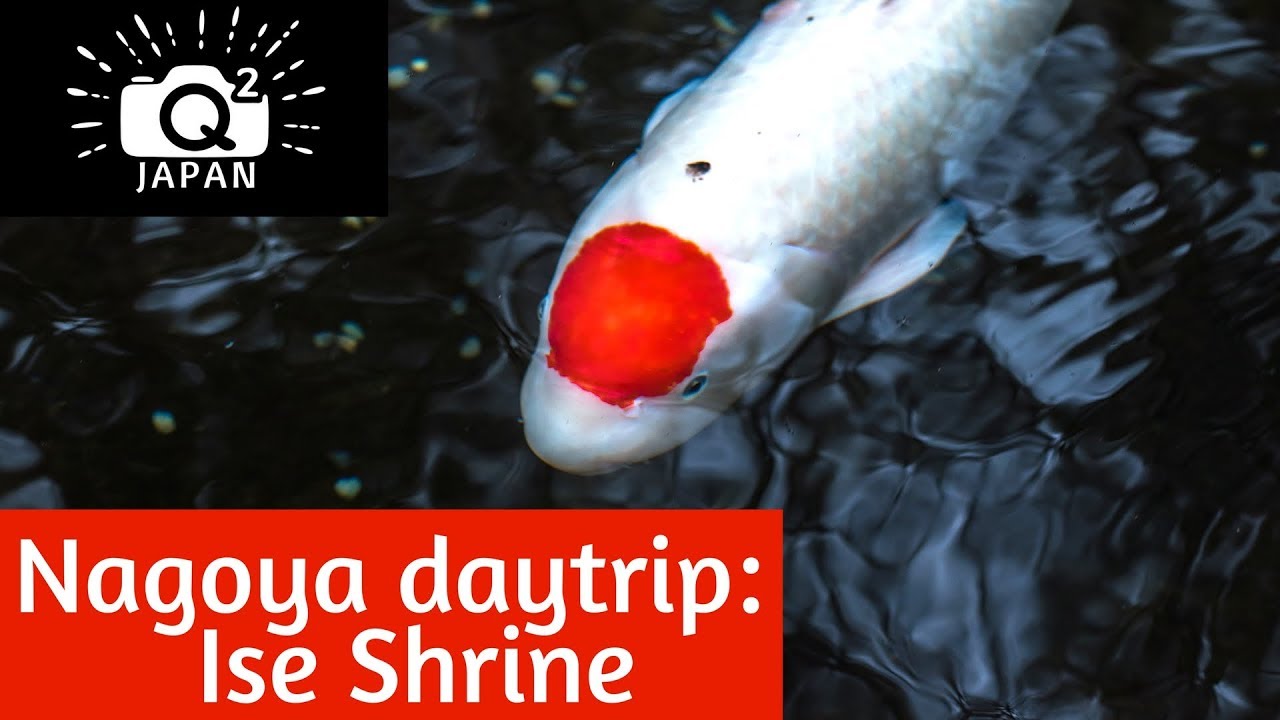 Day Trip from Nagoya: Ise Shrine (Jingu) 伊勢神宮三重県