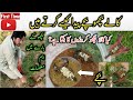 Scorpion Breeding At Home | Important Information About Black Scorpion Sale | Kala Bichu | Bicho