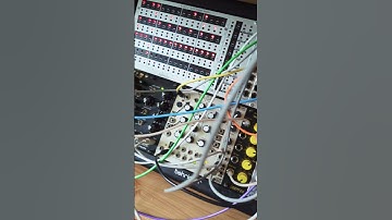 Rings into Doepfer Wasp filter controlled by Doepfer a-157-1 #rings #waspfilter #eurorack #synth