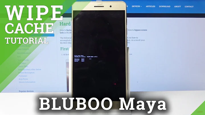 BLUBOO Maya Wipe Cache Tutorial