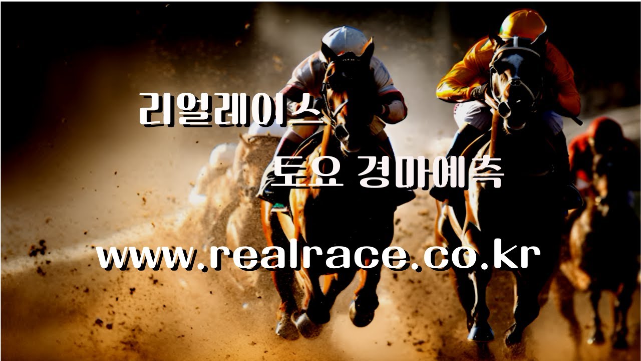 경마 25년 12월 20일 토요일  서울경마 3경주