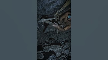 The Hard Reality of Underground Coal Miners #coalmining #blackgoldmining #mininglife #underground