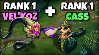 We found the best BOT COMBO... ft. Pun1sher