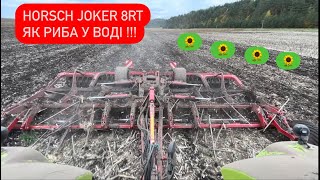 HORSCH Joker 8RT.  Ідеальна робота по соняшнику 🌻🌻🌻