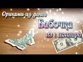 Бабочка из доллара махающая крыльями Dollar Butterfly